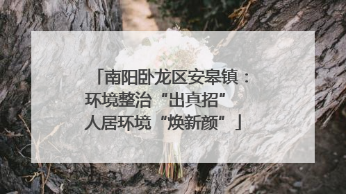南阳卧龙区安皋镇：环境整治“出真招” 人居环境“焕新颜”