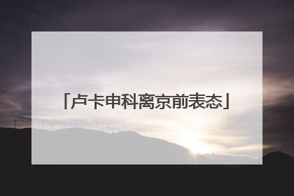 卢卡申科离京前表态