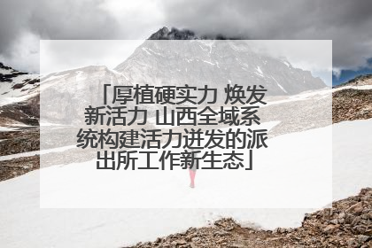 厚植硬实力 焕发新活力 山西全域系统构建活力迸发的派出所工作新生态