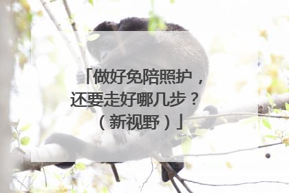 做好免陪照护，还要走好哪几步？（新视野）