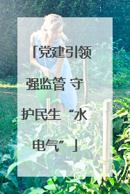 党建引领强监管 守护民生“水电气”
