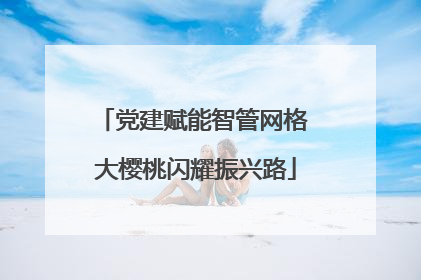 党建赋能智管网格 大樱桃闪耀振兴路