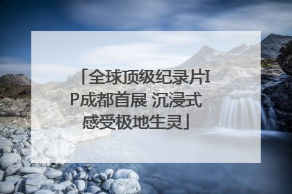 全球顶级纪录片IP成都首展 沉浸式感受极地生灵