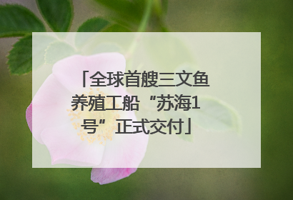 全球首艘三文鱼养殖工船“苏海1号”正式交付