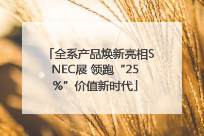 全系产品焕新亮相SNEC展 领跑“25%”价值新时代