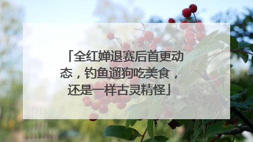全红婵退赛后首更动态，钓鱼遛狗吃美食，还是一样古灵精怪