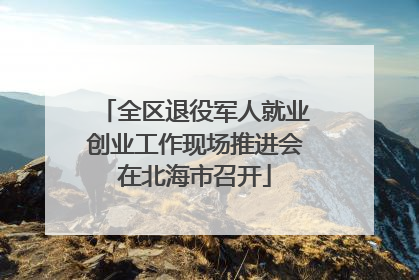 全区退役军人就业创业工作现场推进会在北海市召开