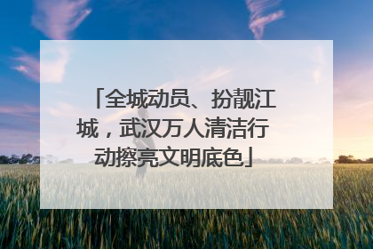 全城动员、扮靓江城，武汉万人清洁行动擦亮文明底色