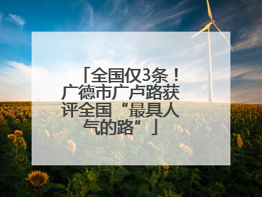 全国仅3条！广德市广卢路获评全国“最具人气的路”