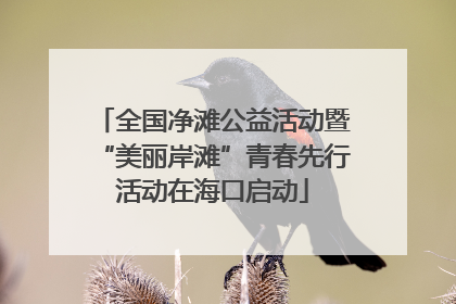 全国净滩公益活动暨“美丽岸滩”青春先行活动在海口启动