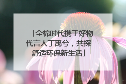 全棉时代携手好物代言人丁禹兮，共探舒适环保新生活
