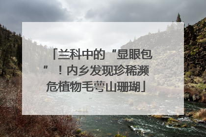 兰科中的“显眼包”！内乡发现珍稀濒危植物毛萼山珊瑚