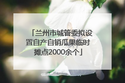 兰州市城管委拟设置自产自销瓜果临时摊点2000余个