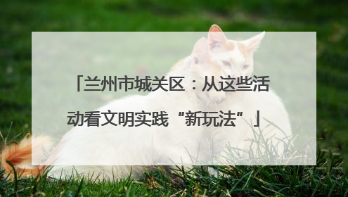 兰州市城关区：从这些活动看文明实践“新玩法”