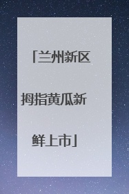 兰州新区拇指黄瓜新鲜上市