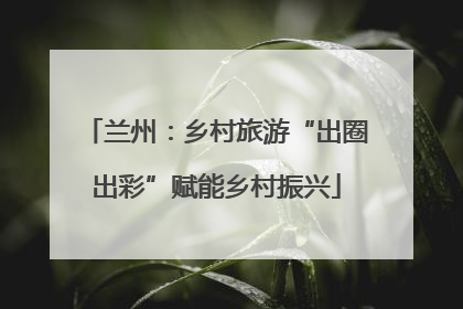兰州：乡村旅游“出圈出彩”赋能乡村振兴