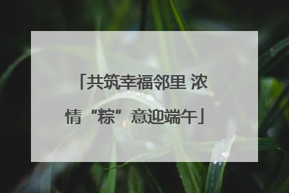 共筑幸福邻里 浓情“粽”意迎端午