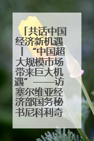 共话中国经济新机遇丨“中国超大规模市场带来巨大机遇”——访塞尔维亚经济部国务秘书尼科利奇