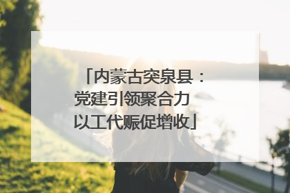 内蒙古突泉县：党建引领聚合力 以工代赈促增收