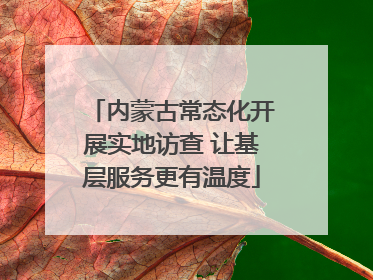 内蒙古常态化开展实地访查 让基层服务更有温度