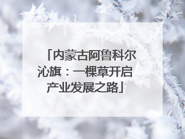 内蒙古阿鲁科尔沁旗：一棵草开启产业发展之路