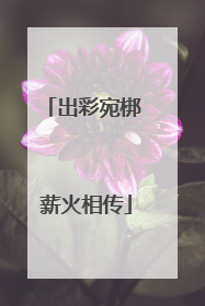 出彩宛梆 薪火相传