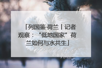 列国鉴·荷兰丨记者观察：“低地国家”荷兰如何与水共生