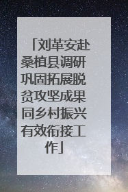 刘革安赴桑植县调研巩固拓展脱贫攻坚成果同乡村振兴有效衔接工作