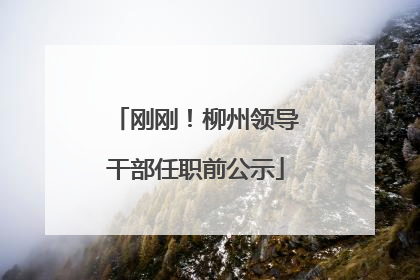 刚刚！柳州领导干部任职前公示