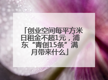 创业空间每平方米日租金不超1元，浦东“青创15条”满月带来什么