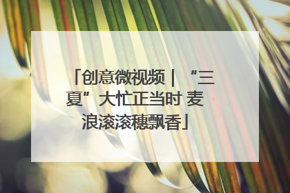 创意微视频｜“三夏”大忙正当时 麦浪滚滚穗飘香