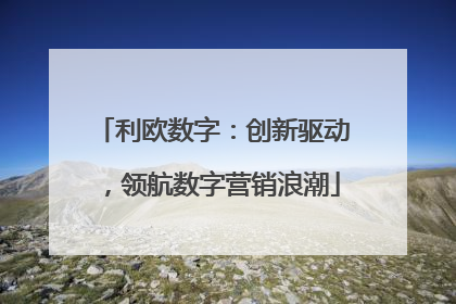利欧数字：创新驱动，领航数字营销浪潮