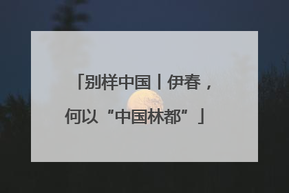 别样中国丨伊春，何以“中国林都”
