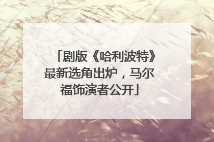 剧版《哈利波特》最新选角出炉，马尔福饰演者公开