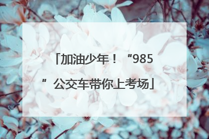 加油少年！“985”公交车带你上考场