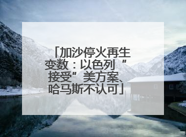 加沙停火再生变数：以色列“接受”美方案、哈马斯不认可