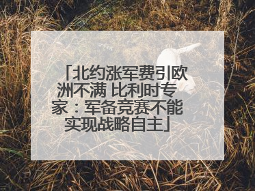 北约涨军费引欧洲不满 比利时专家：军备竞赛不能实现战略自主