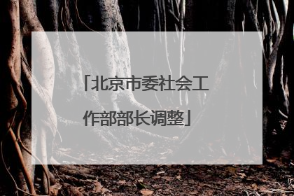 北京市委社会工作部部长调整