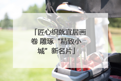 匠心织就宜居画卷 雕琢“精致小城”新名片