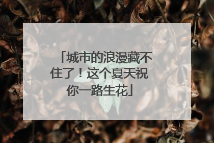 城市的浪漫藏不住了！这个夏天祝你一路生花