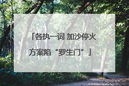 各执一词 加沙停火方案陷“罗生门”