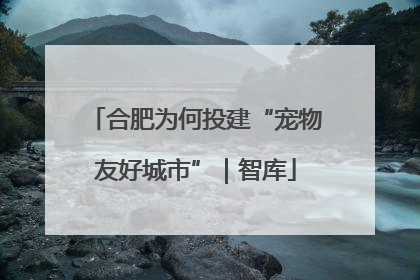 合肥为何投建“宠物友好城市”｜智库