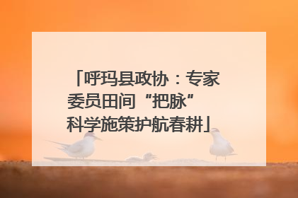 呼玛县政协：专家委员田间“把脉” 科学施策护航春耕