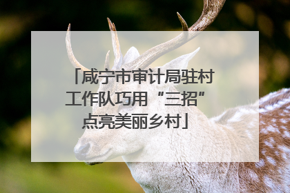 咸宁市审计局驻村工作队巧用“三招”点亮美丽乡村