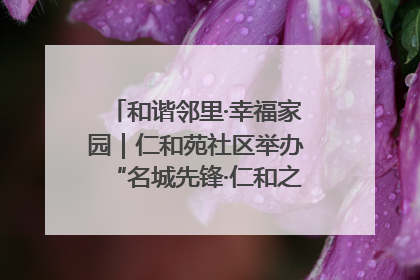 和谐邻里·幸福家园｜仁和苑社区举办“名城先锋·仁和之家”文明实践活动