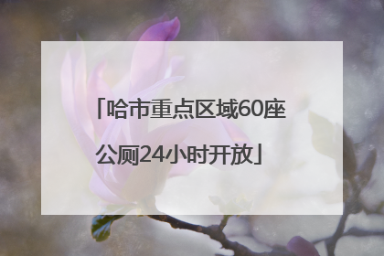 哈市重点区域60座公厕24小时开放