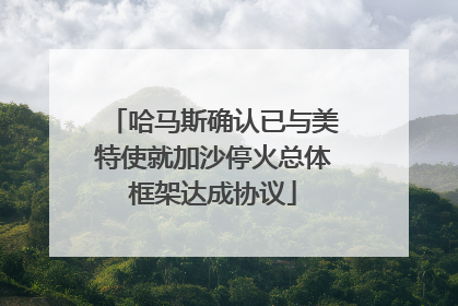 哈马斯确认已与美特使就加沙停火总体框架达成协议