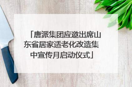 唐派集团应邀出席山东省居家适老化改造集中宣传月启动仪式