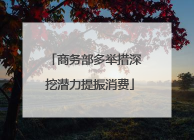 商务部多举措深挖潜力提振消费