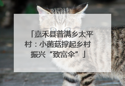 嘉禾县普满乡太平村：小菌菇撑起乡村振兴“致富伞”